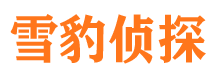 叶县寻人公司